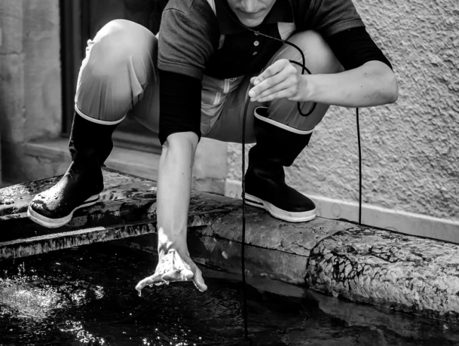 _MG_7118 SD 4 NB.jpg